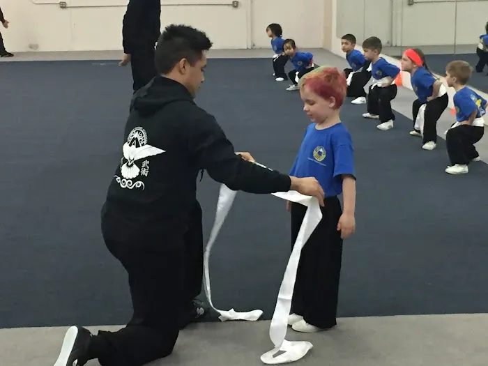 Summit Wushu Academy Picture 1