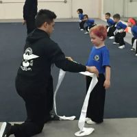 Summit Wushu Academy ico