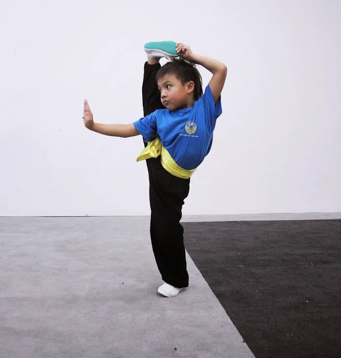 Summit Wushu Academy Picture 3