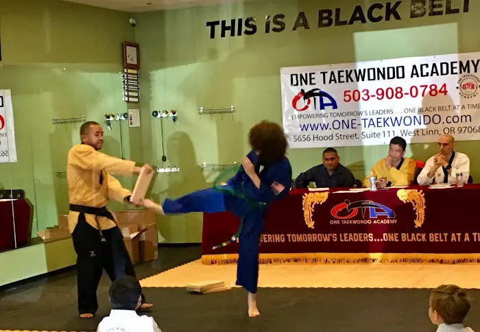 One Taekwondo Academy - West Linn Picture 1