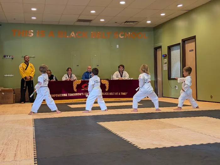One Taekwondo Academy - West Linn Picture 8