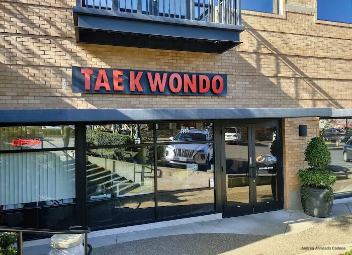 One Taekwondo Academy - West Linn Picture 7