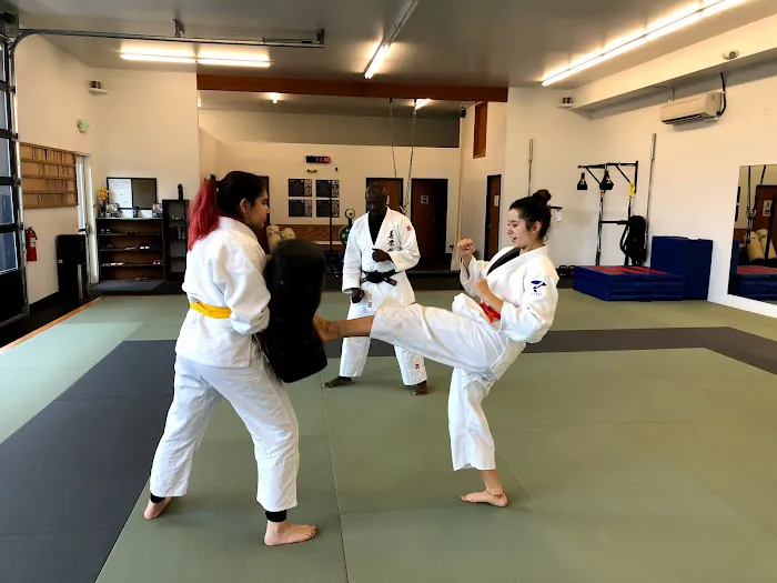 Pacific Rim Martial Arts Academy Picture 6