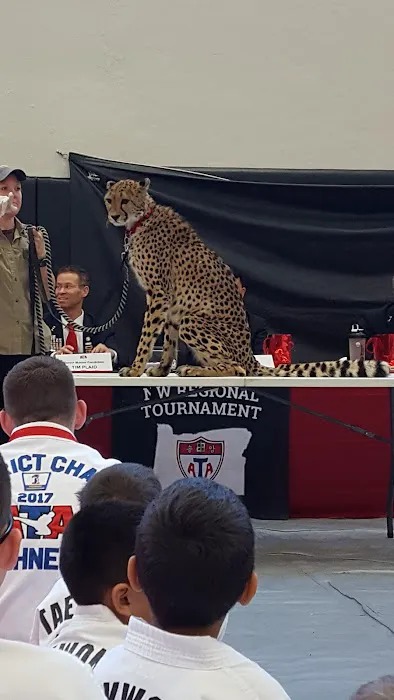 Meyer Family ATA Martial Arts Picture 2