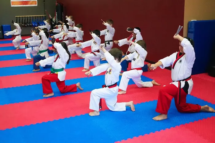 US World Class Taekwondo Tigard Picture 4