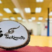 TS Taekwondo ico