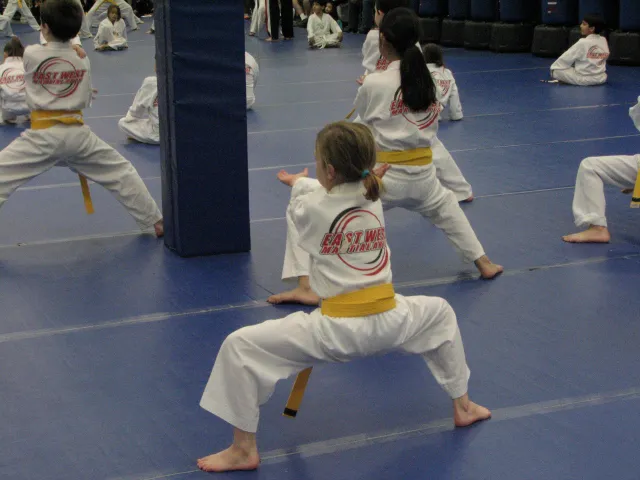 East West Martial Arts Picture 4