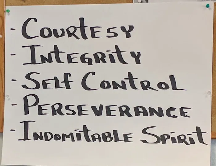 Vancouver Taekwondo Academy Picture 2