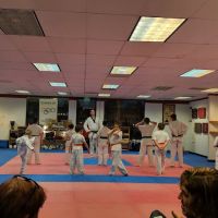 Vancouver Taekwondo Academy ico