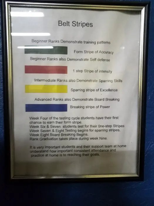 Dragon Brand Martial Arts Picture 3