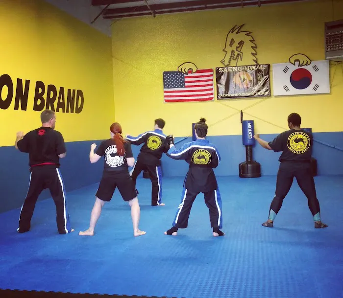 Dragon Brand Martial Arts Picture 7