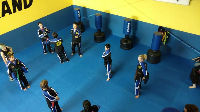 Dragon Brand Martial Arts Picture 9