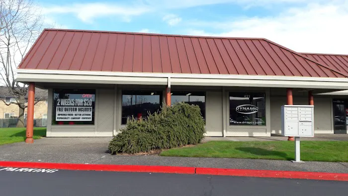 Dynamic Martial Arts - Gresham Picture 4
