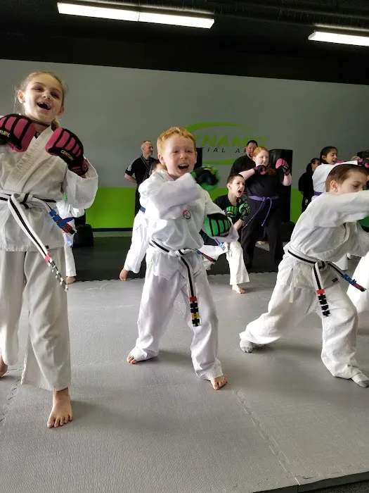 Dynamic Martial Arts - Gresham Picture 7