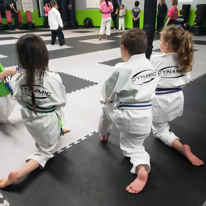 Dynamic Martial Arts - Gresham Picture 9