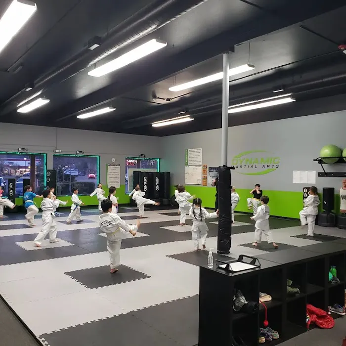 Dynamic Martial Arts - Gresham Picture 8