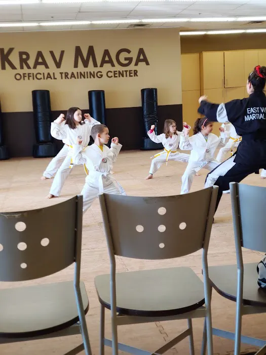 East West Martial Arts Picture 5