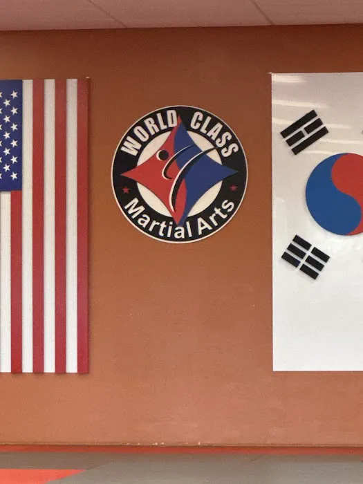 World Class Martial Arts Picture 5