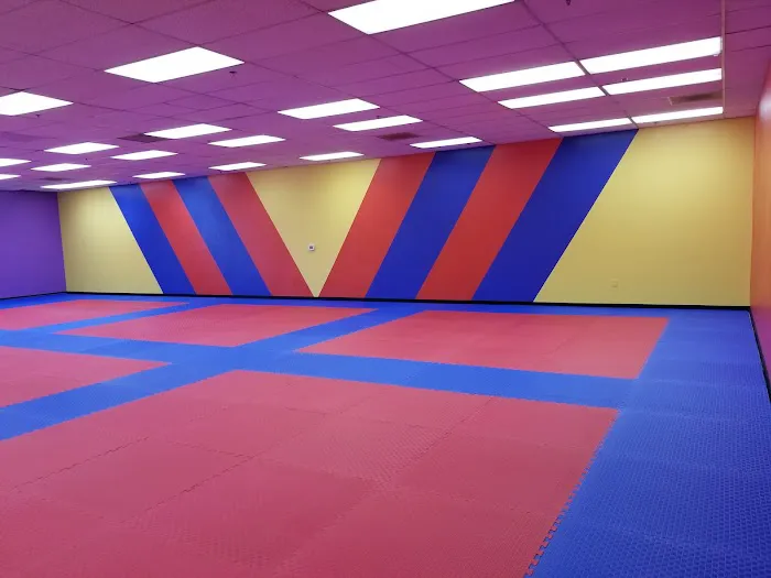 Han's World Class Taekwondo Academy. Mill Plain Picture 7