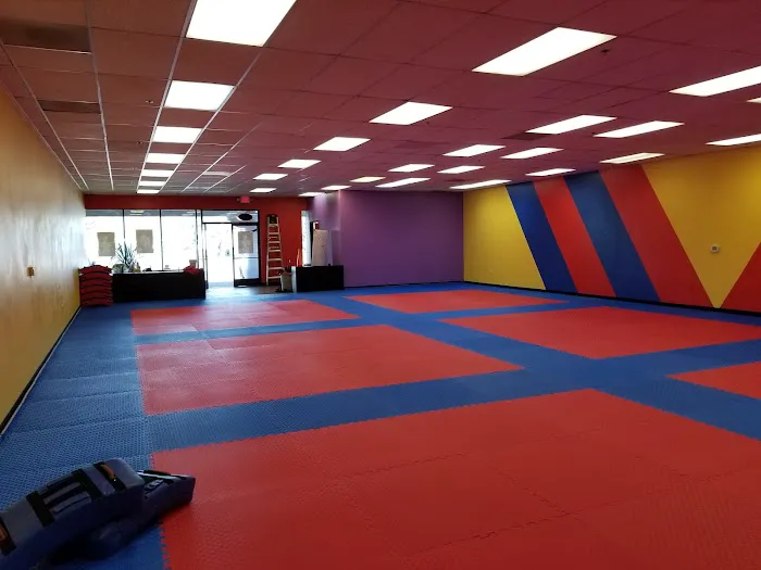 Han's World Class Taekwondo Academy. Mill Plain Picture 5