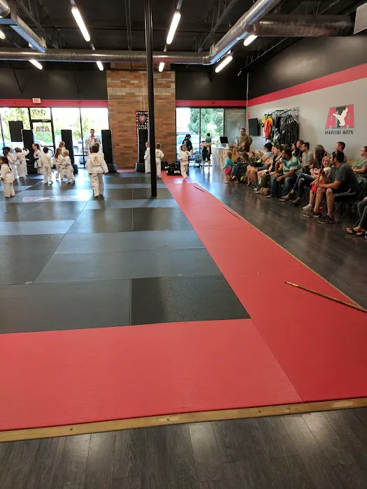 Ireland's Martial Arts - Oregon City Picture 5