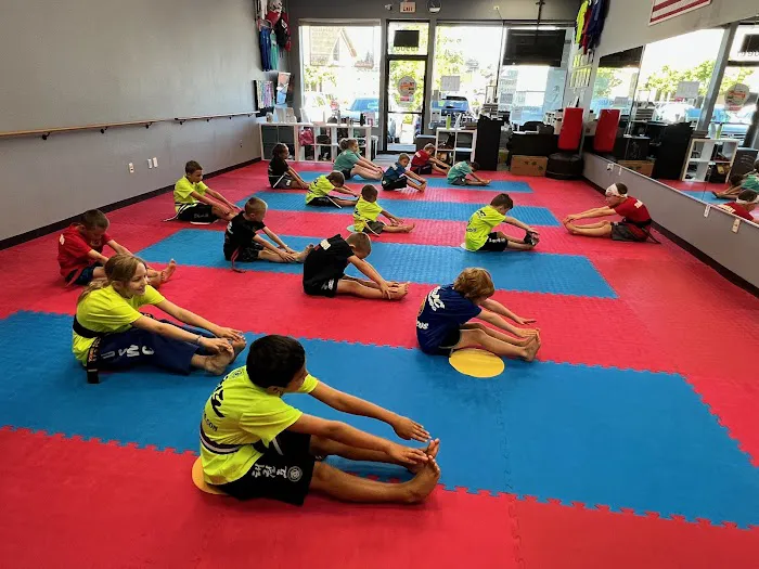 World Class Taekwondo Damascus Picture 7