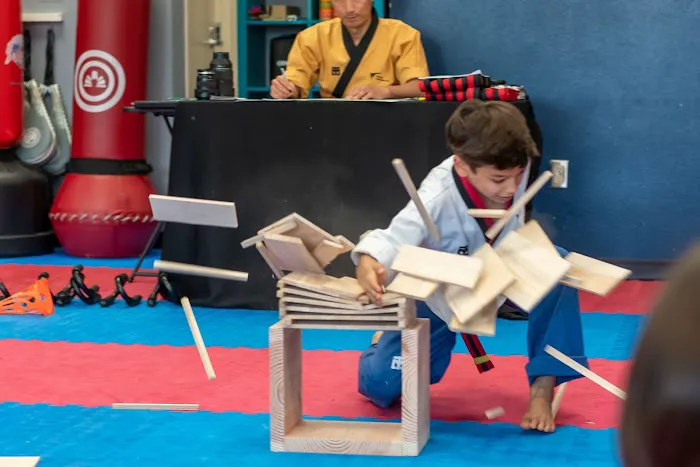 World Class Taekwondo Damascus Picture 9