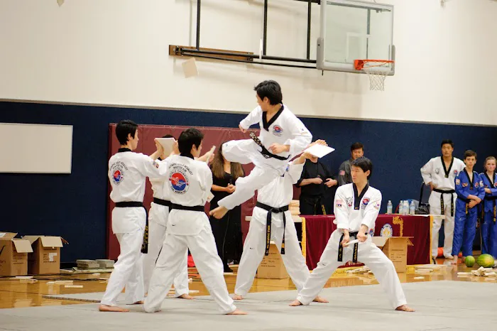 World Champion Taekwondo, Inc Picture 3