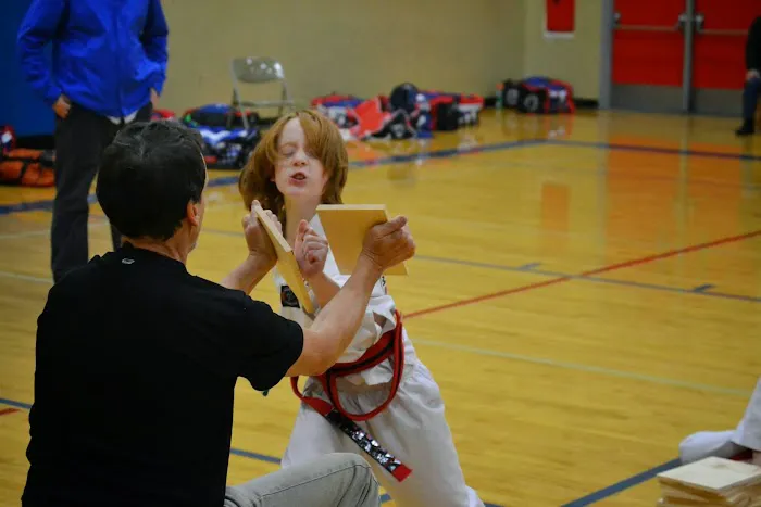 World Champion Taekwondo, Inc Picture 2