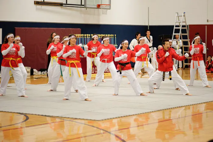 World Champion Taekwondo, Inc Picture 8