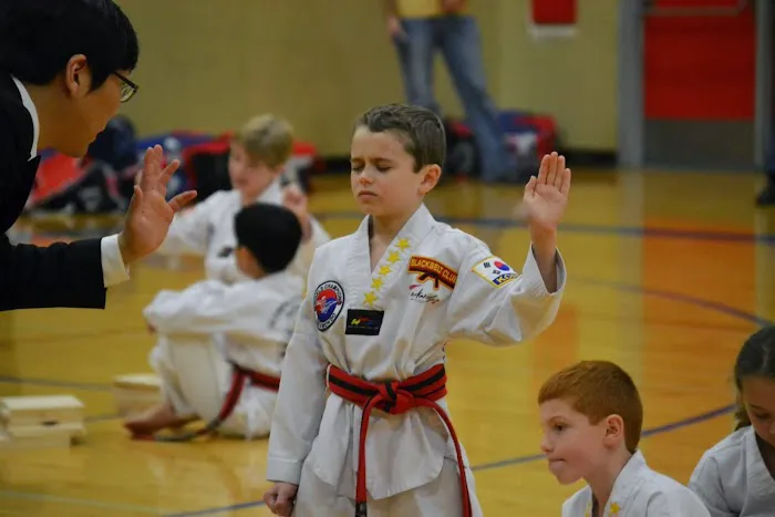 World Champion Taekwondo, Inc Picture 7