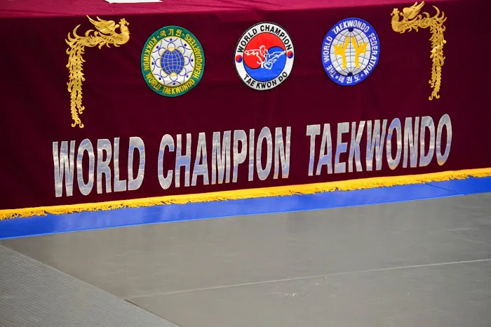 World Champion Taekwondo, Inc Picture 6
