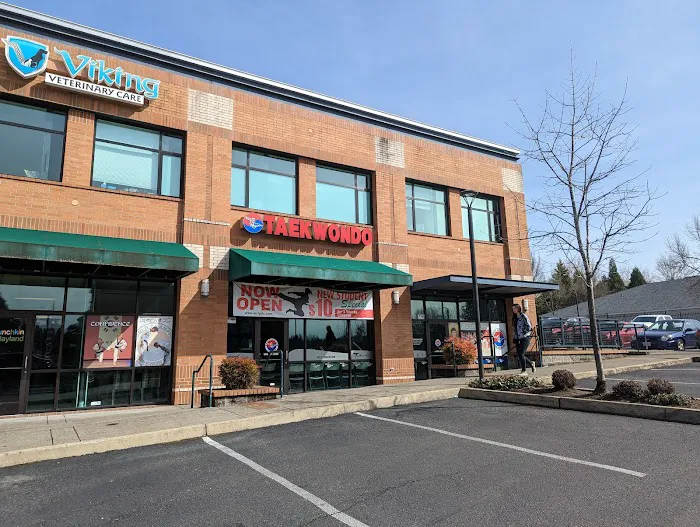 World Champion Taekwondo, Inc Picture 4