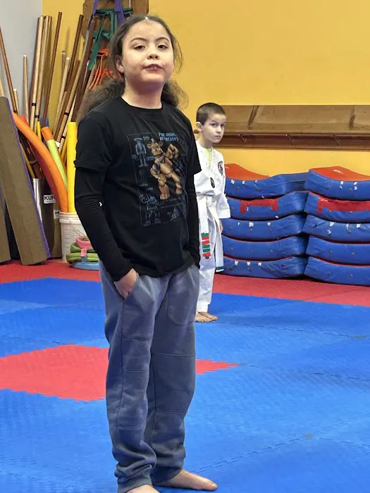 US World Class Taekwondo Picture 3