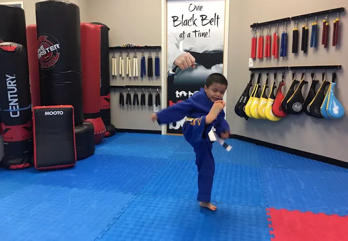 US World Class Taekwondo Picture 6