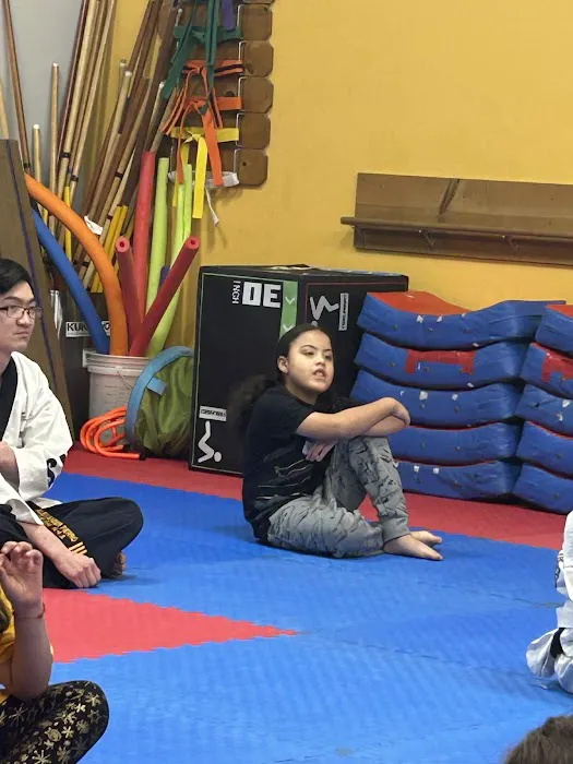 US World Class Taekwondo Picture 4