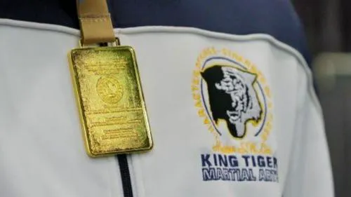 King Tiger Martial Arts Picture 4