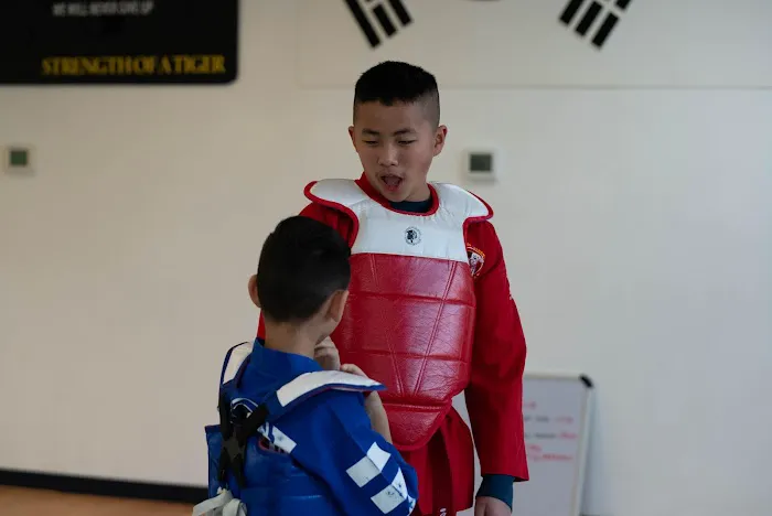 King Tiger Martial Arts Picture 3