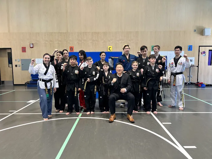 Han's World Class Taekwondo Academy Picture 1