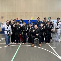 Han's World Class Taekwondo Academy ico