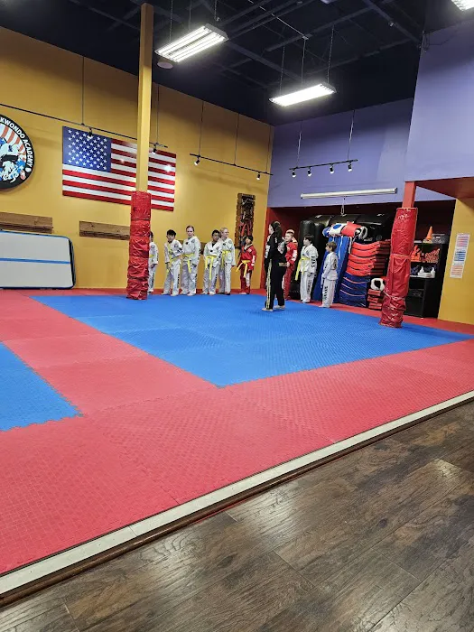 Han's World Class Taekwondo Academy Picture 4