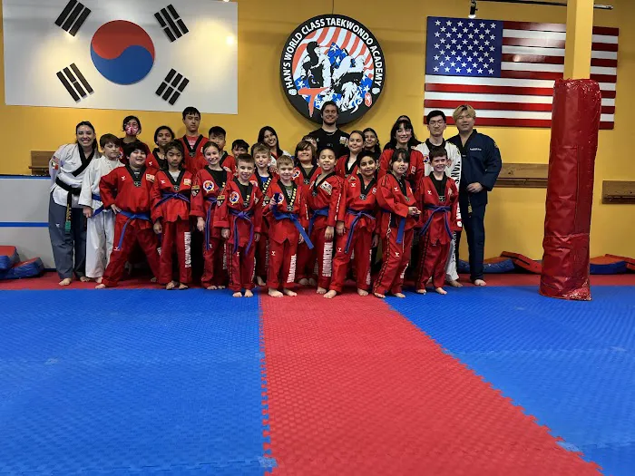 Han's World Class Taekwondo Academy Picture 2