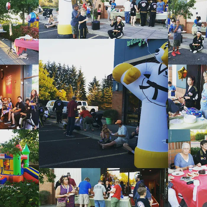 Han's World Class Taekwondo Academy Picture 7