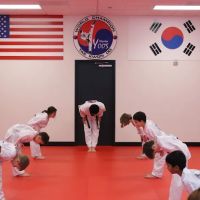 Master Yoo's World Champion Tae Kwon Do ico