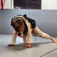 Pacific Wonderland Jiu Jitsu ico