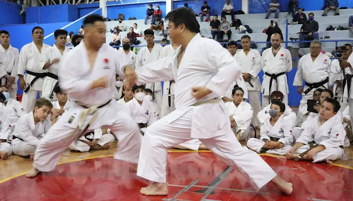 JKA SHOTOKAN KARATE SHIBA DOJO Picture 3