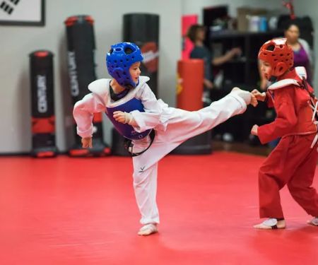 MUSA Martial Arts | Taekwondo, Brazilian Jiu-Jitsu, and Hapkido