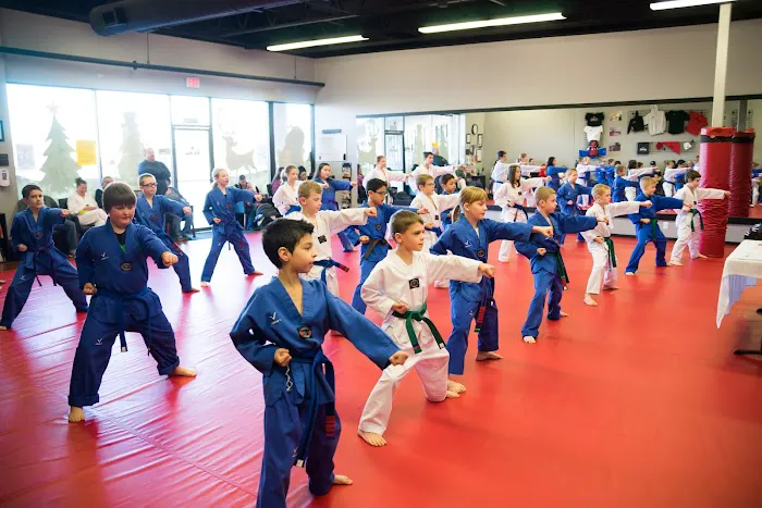 MUSA Martial Arts | Taekwondo, Brazilian Jiu-Jitsu, and Hapkido Picture 9