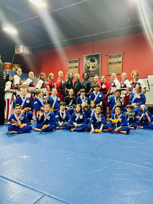 Elevate Family Martial Arts Picture 1