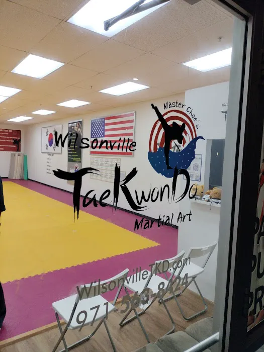 Wilsonville Taekwondo Academy Picture 2